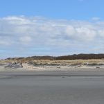 Internet 03-21